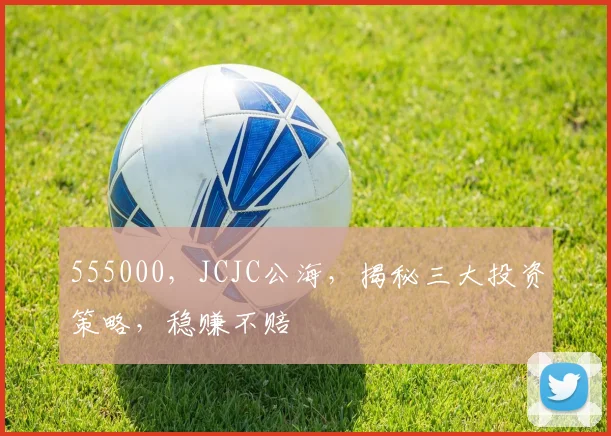 555000，JCJC公海，揭秘三大投资策略，稳赚不赔