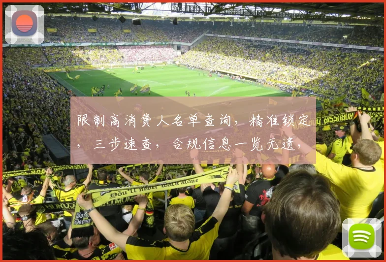 限制高消费人名单查询，精准锁定，三步速查，合规信息一览无遗，债务清零，轻松应对。